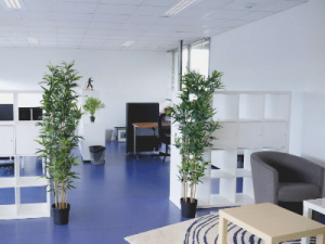 Bureaux co-working startup